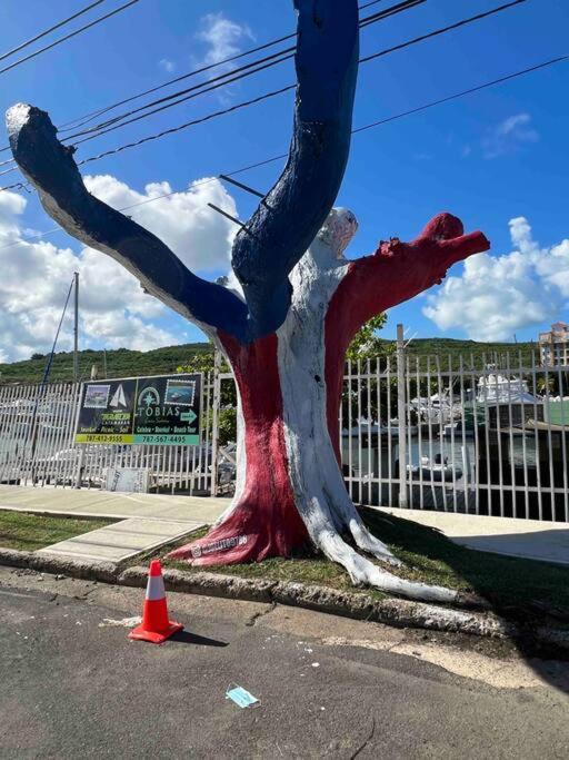 Casa Rosado Villa Marina Fajardo Yunque Seven Seas מראה חיצוני תמונה